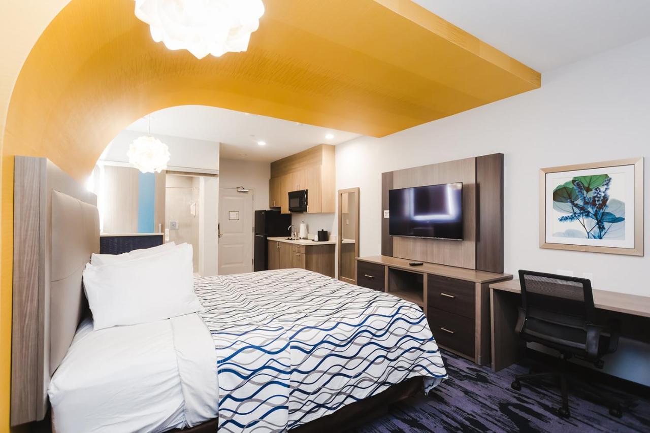 Palace Inn Blue Houston East Beltway 8 ภายนอก รูปภาพ